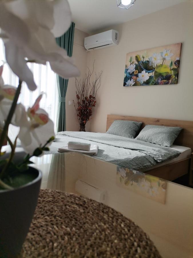 Jana Apartment أوهغيد المظهر الخارجي الصورة